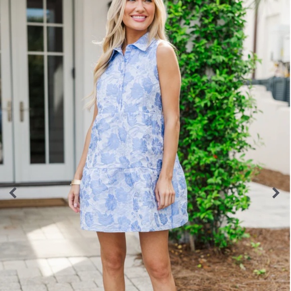 These Three Dresses & Skirts - Sterling Jacquard Mini Dress